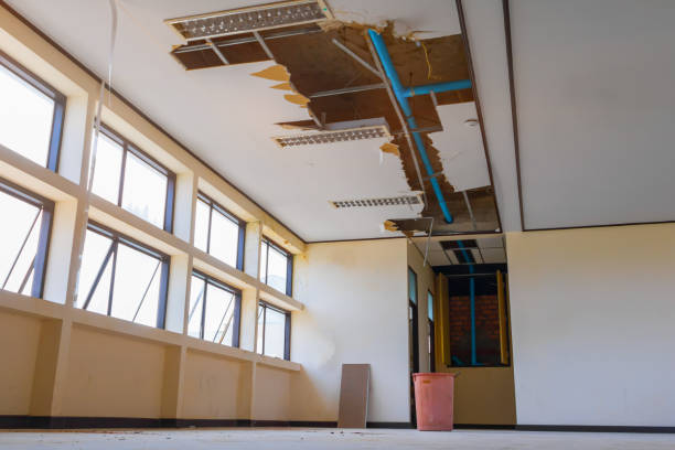 Best Local water damage restoration  in Streamwood, IL