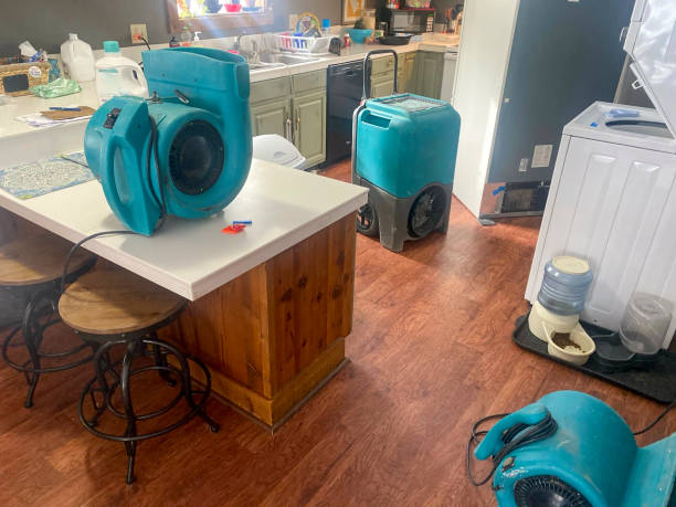 Best Carpet water damage restoration  in Streamwood, IL
