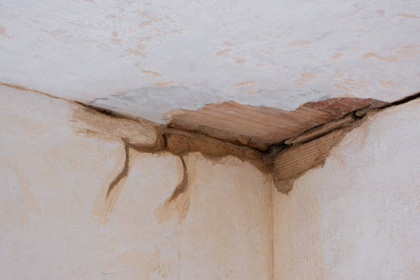 Best Emergency water damage restoration  in Streamwood, IL