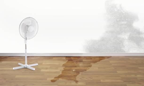 Best Ceiling water damage repair  in Streamwood, IL