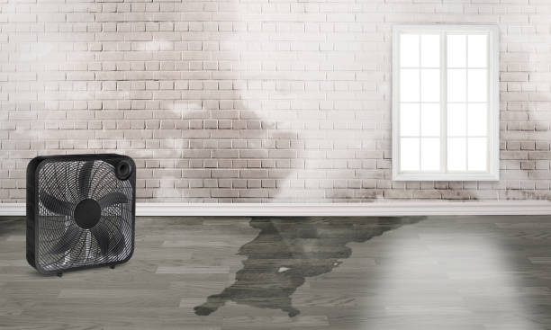 Best Sewage cleanup and water damage restoration  in Streamwood, IL