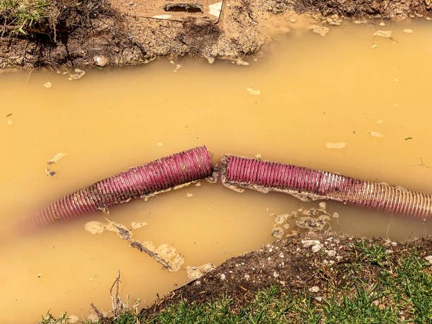 Best Water damage restoration near me  in Streamwood, IL